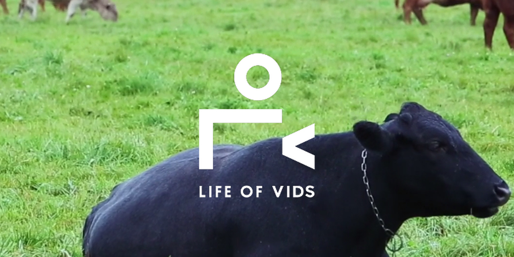 Life of Vids website screenshot