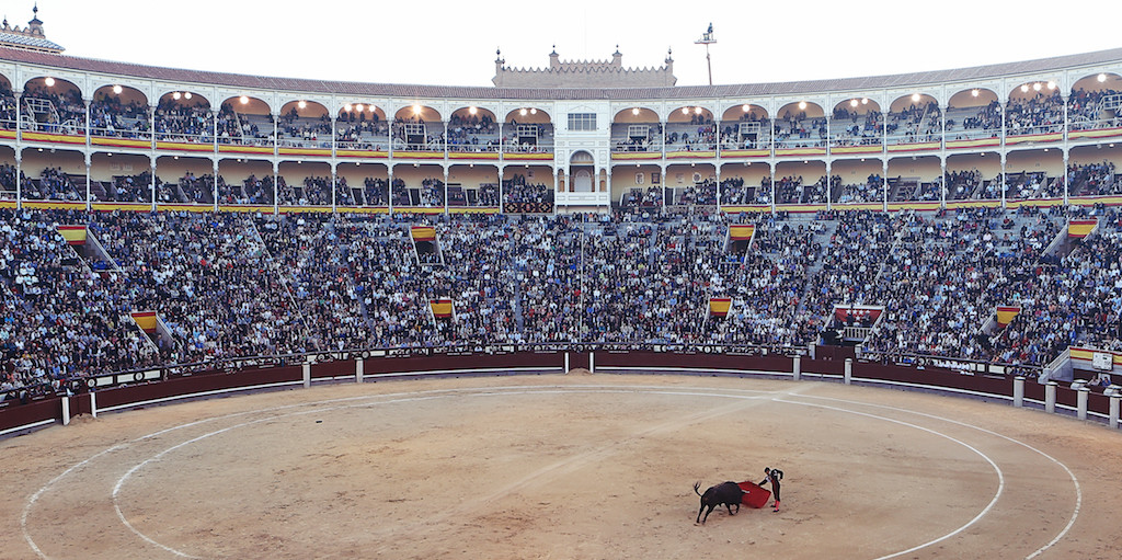 Bullfighter and crowd
